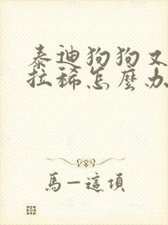 泰迪狗狗又吐又拉稀怎么办