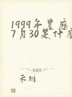 1999年农历7月30是什么命