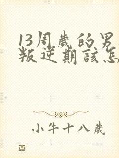 13周岁的男孩叛逆期该怎么办