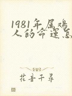 1981年属鸡人的命运怎么样封面
