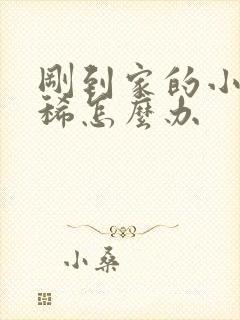 刚到家的小狗拉稀怎么办