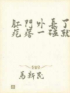 肛门外长了一个疙瘩一碰就疼