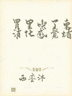 胃里吃了东西不消化感觉堵得慌