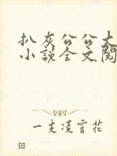 扒灰公公大杂烩小说全文阅读