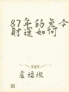 87年的兔今年财运如何