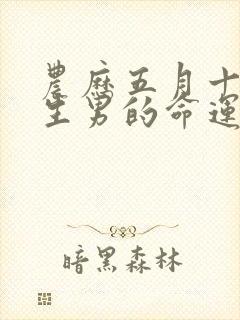 农历五月十五出生男的命运封面