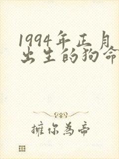 1994年正月出生的狗命运