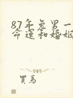 87年兔男一生命运和婚姻