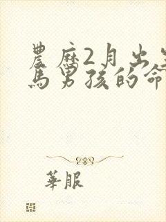 农历2月出生的马男孩的命运封面