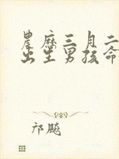 农历三月二十一出生男孩命运好吗?