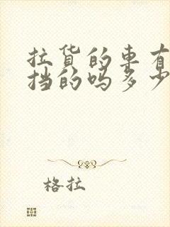 拉货的车有自动挡的吗多少钱封面