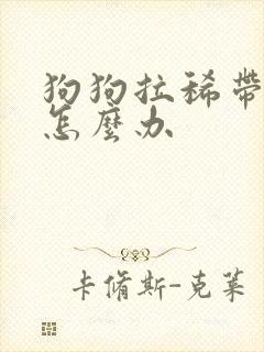 狗狗拉稀带血丝怎么办