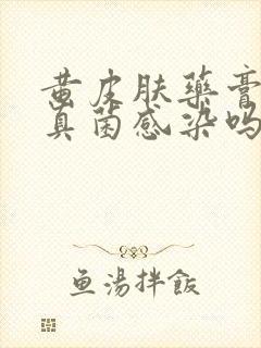 黄皮肤药膏能治真菌感染吗