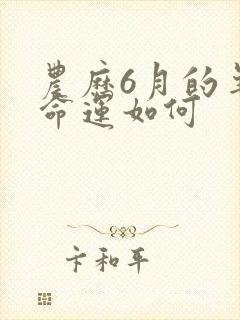 农历6月的羊女命运如何