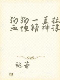 狗狗一直拉稀带血但精神很好