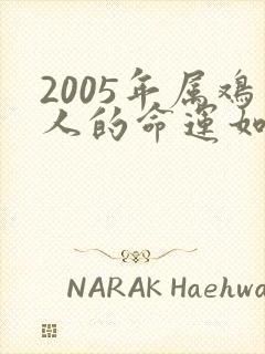 2005年属鸡人的命运如何