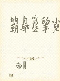 明月写的小说明朝那些事儿