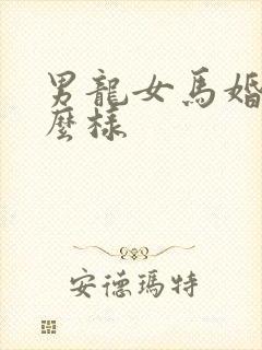 男龙女马婚配怎么样封面