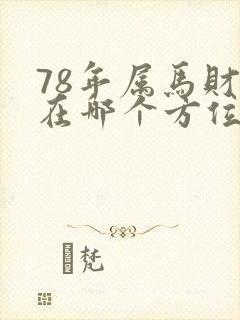 78年属马财运在哪个方位