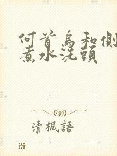 何首乌和侧柏叶煮水洗头