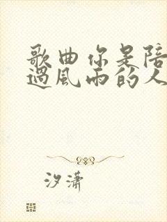 歌曲你是陪我走过风雨的人原唱封面