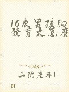 16岁男孩胸部发育大怎么办