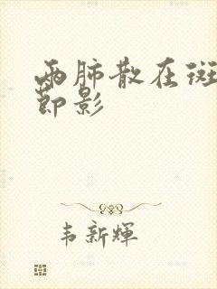 两肺散在斑点结节影封面