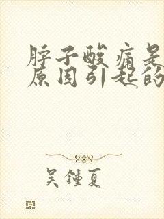 脖子酸痛是什么原因引起的