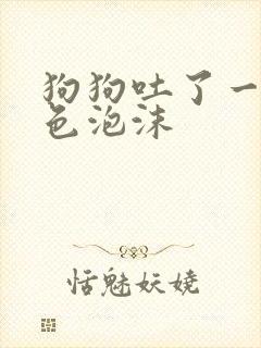 狗狗吐了一滩白色泡沫封面
