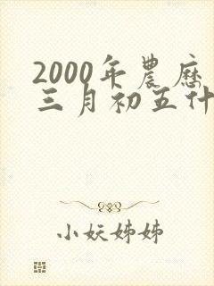 2000年农历三月初五什么命