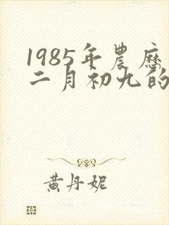 1985年农历二月初九的命运