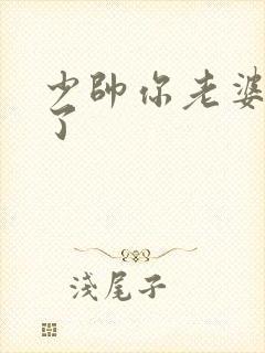 少帅你老婆又跑了封面