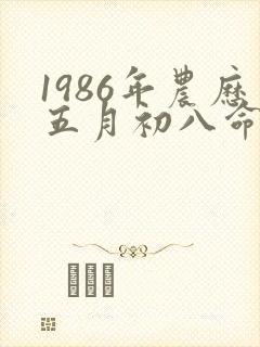 1986年农历五月初八命运如何