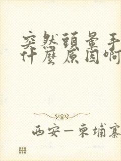 突然头晕手麻是什么原因啊封面