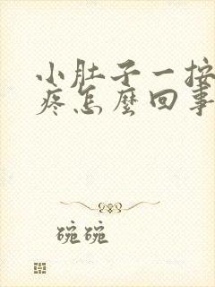 小肚子一按压就疼怎么回事女