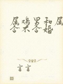 属鸡男和属虎女合不合婚