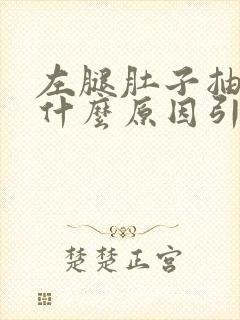 左腿肚子抽筋是什么原因引起的