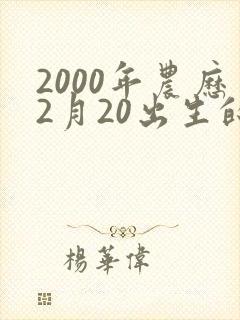 2000年农历2月20出生的命运