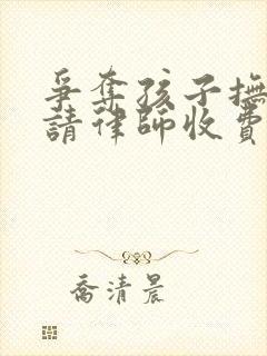 争夺孩子抚养权请律师收费标准封面