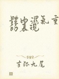 体内湿气重舌苔的表现