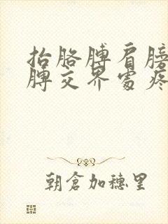 抬胳膊肩膀与胳膊交界处疼