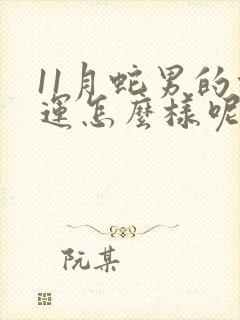 11月蛇男的命运怎么样呢