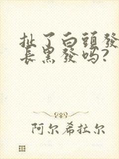 扯了白头发还会长黑发吗?