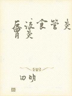 反流食管炎慢性胃炎