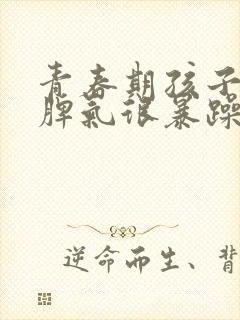 青春期孩子叛逆脾气很暴躁应该怎么管?封面