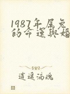 1987年属兔的命运与婚姻