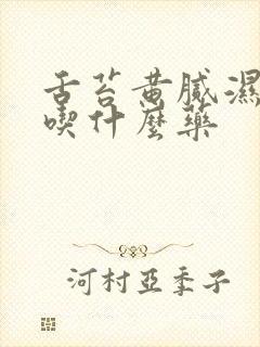 舌苔黄腻湿热重吃什么药