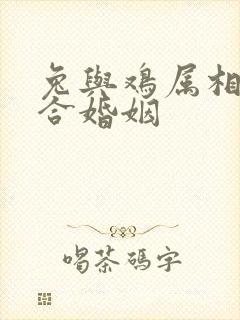 兔与鸡属相合不合婚姻