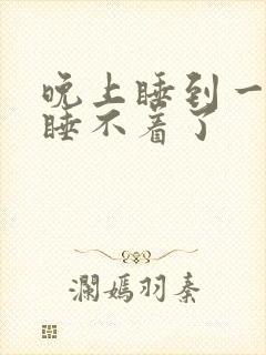 晚上睡到一半就睡不着了封面