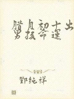 腊月初十出生的男孩命运封面